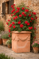 Preview: Hoher, massiver, quadratischer Blumenkasten aus Impruneta Terracotta mit Rankenverzierung